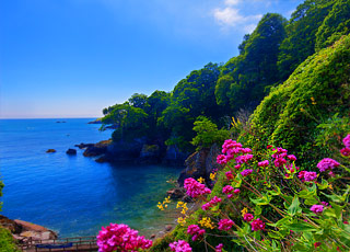 Escale Angleterre (Dartmouth)