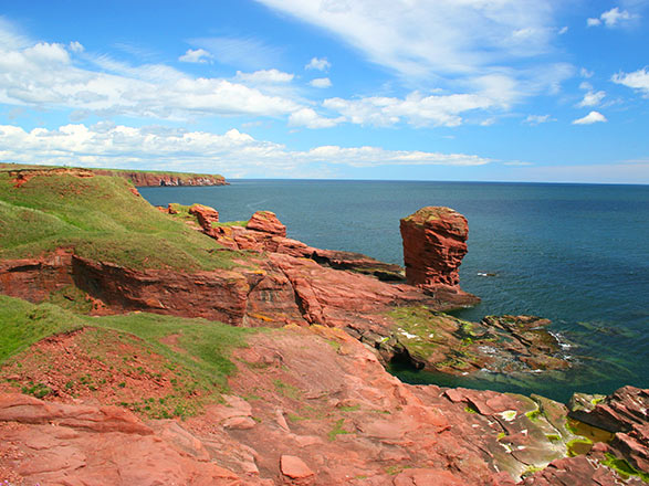 Escale Ecosse (Dundee)