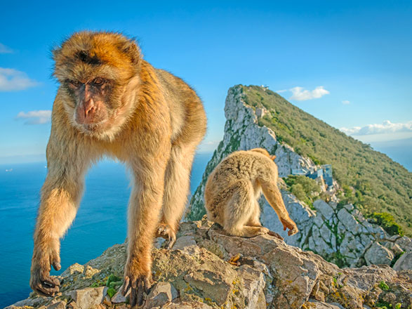 Escale Détroit de Gibraltar
