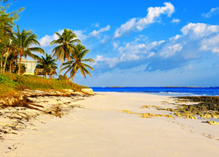 Escale Bahamas (Ile d'Eleuthera) Disney’s Lookout Cay