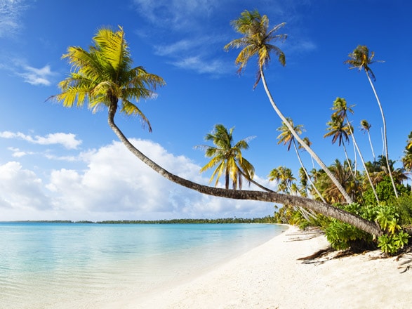 Escale Martinique (Fort de France)