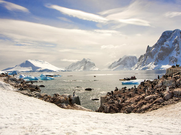 Escale Antarctique (Half Moon Island)