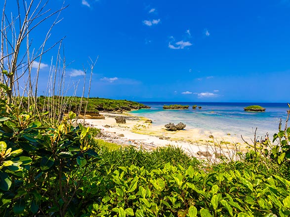 Escale Japon (Iriomotejima)