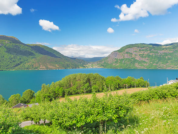 Escale Norvège (Lustrafjord)