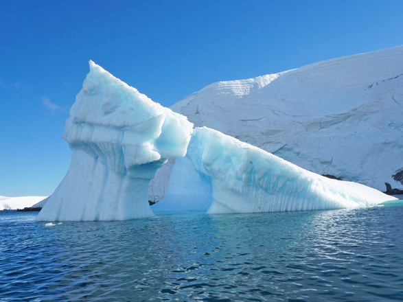 Escale Antarctique (Melchior Islands)
