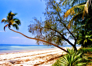 Escale Kenya (Mombasa)