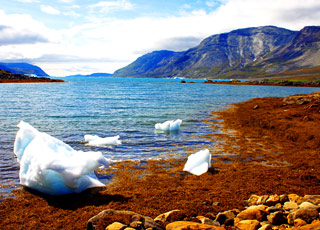 Escale Groenland (Narsaq)