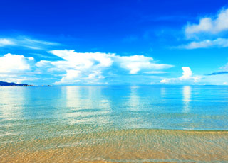 Escale Iles Vierges Britanniques (Norman Island)