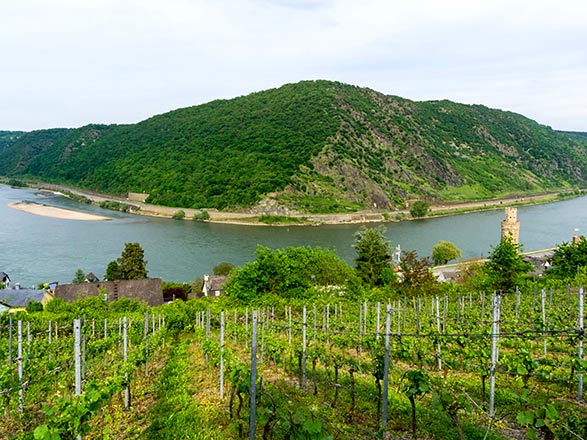 Escale OBERWESEL - RÜDESHEIM