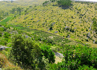 Escale Croatie (Opatija)
