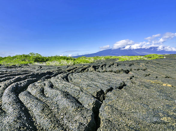 Escale Iles Galapagos (Punta Moreno)