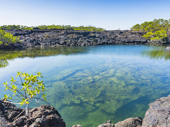 Escale Iles Galapagos (Punta Moreno)