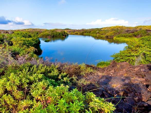 Escale Iles Galapagos (Punta Moreno)