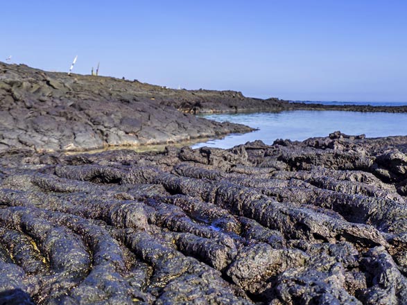 Escale Iles Galapagos (Punta Moreno)