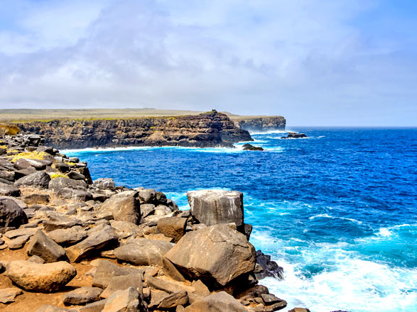 Escale Iles Galapagos (Punta Suarez)