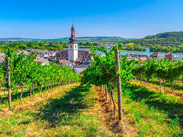 Escale RUDESHEIM - COBLENCE