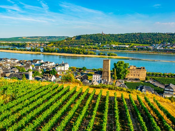 Escale RUDESHEIM - COBLENCE