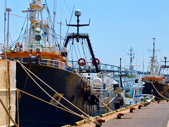 Escale Japon (Sakaiminato)