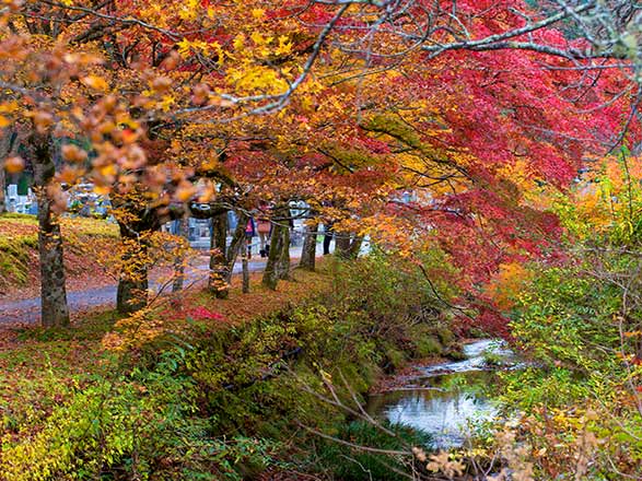 Escale Japon (Shingu)