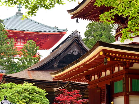 Escale Japon (Shingu)