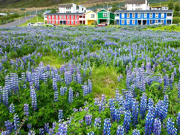 Escale Islande (Siglufjordur)