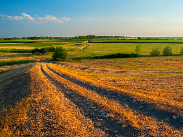 Escale Serbie (Sremska Mitrovica)