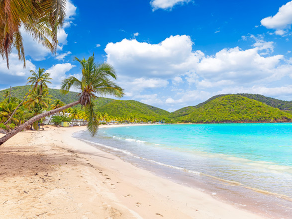 Escale Antigua et Barbuda (St John's)