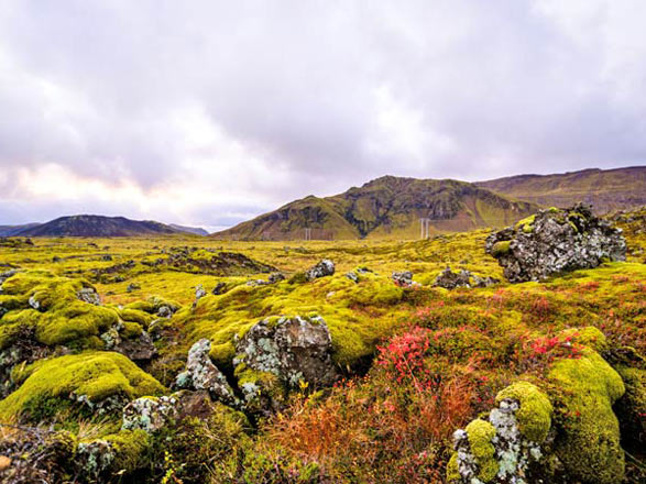 Escale Islande (Stykkisholmur)