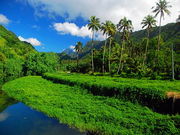 Escale Polynésie Française (Tahiti)