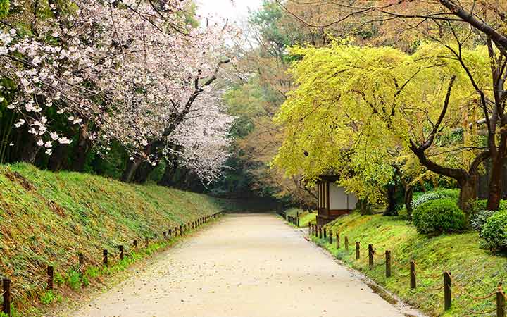 Escale Japon (Tamano)