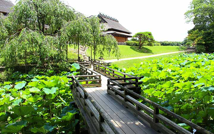 Escale Japon (Tamano)