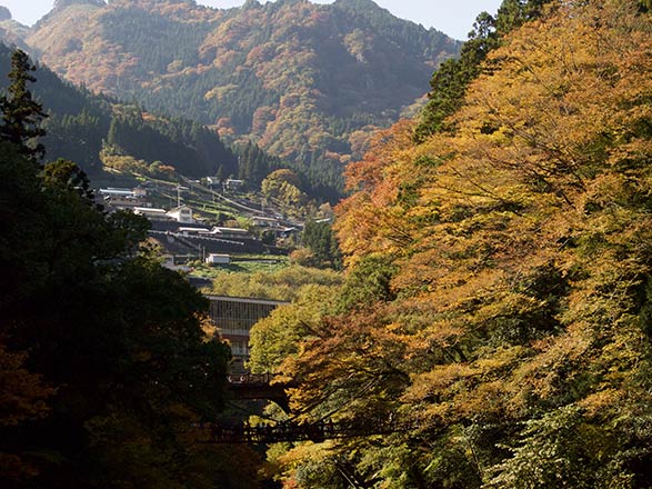 Escale Japon (Tokushima)