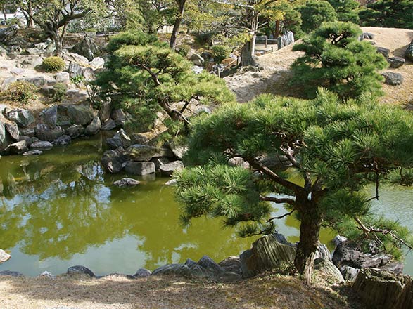 Escale Japon (Tokushima)