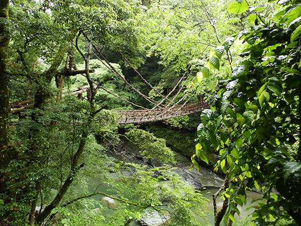 Escale Japon (Tokushima)