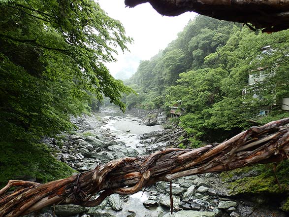Escale Japon (Tokushima)