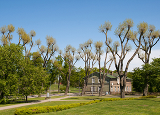 Escale Lettonie (Liepaja)