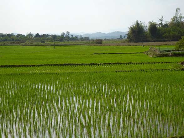 Escale Laos (Ban Pha Leab, Barrage de Xayaburi)
