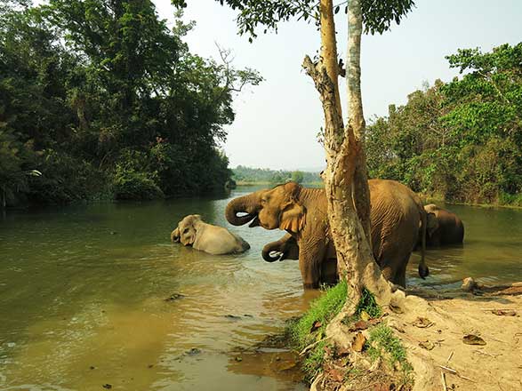 Escale Laos (Ban Pha Leab, Barrage de Xayaburi)