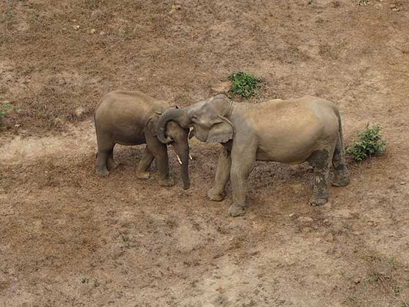 Escale Laos (Ban Pha Leab, Barrage de Xayaburi)