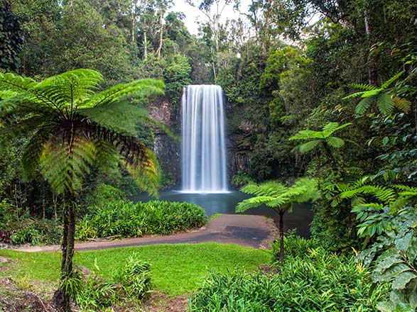 https://static.service-voyages.com/mobile/croisiere/images/fr/escales/escale,cairns-cairns_zoom,AU,CNS,35388.jpg