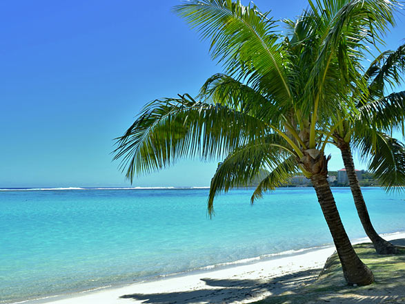 https://static.service-voyages.com/mobile/croisiere/images/fr/escales/escale,guam-guam_zoom,FM,XIG,537450.jpg