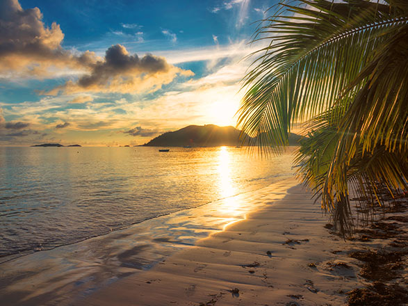 https://static.service-voyages.com/mobile/croisiere/images/fr/escales/escale,lautoka-lautoka_zoom,FJ,LTK,34366.jpg