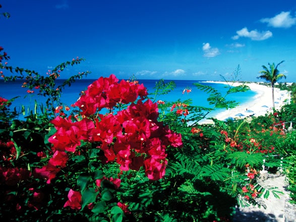 https://static.service-voyages.com/mobile/croisiere/images/fr/escales/escale,philipsburg-philipsburg_zoom,AN,PHI,63197.jpg