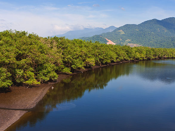 https://static.service-voyages.com/mobile/croisiere/images/fr/escales/escale,santos-santos_zoom,BR,SSZ,45850.jpg