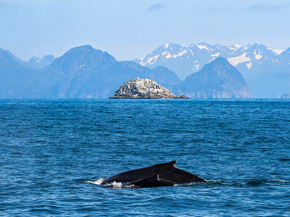 https://static.service-voyages.com/mobile/croisiere/images/fr/escales/escale,seward-seward_zoom,US,SWD,45929.jpg
