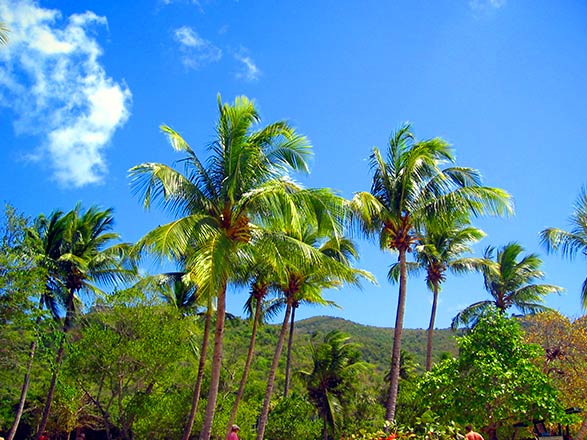https://static.service-voyages.com/mobile/croisiere/images/fr/escales/escale,st john's-st john's_zoom,AG,SJO,46094.jpg