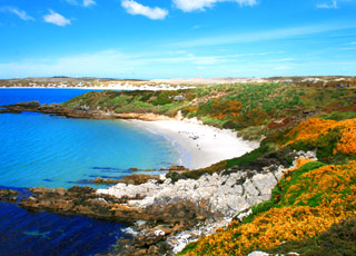 Escale Islande (Iles Vestmann)